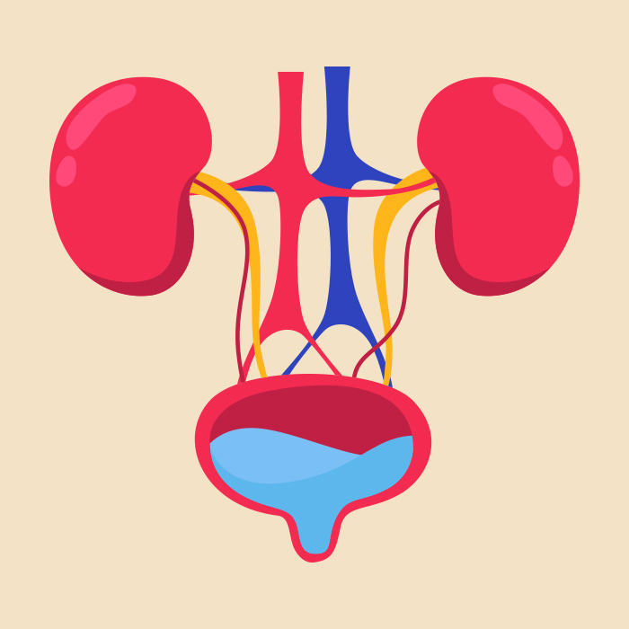Welcome-курсы Medtain