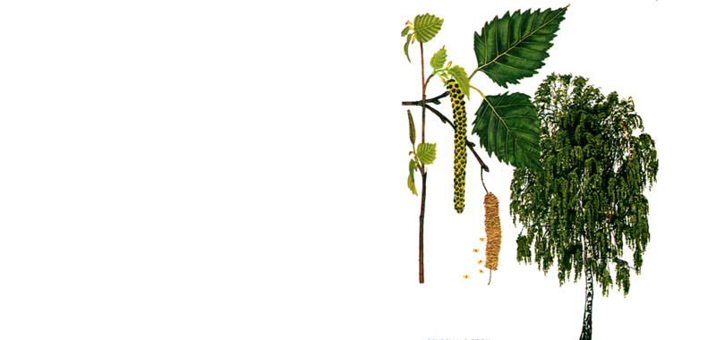 Валерий Уваров Пирамиды наследие богов, Кадуцеи Гора, Кадуцеи Ба-Ка, Жезлы Гора, Цилиндры фараона, Жезлы Египтян, Жезлы Ра