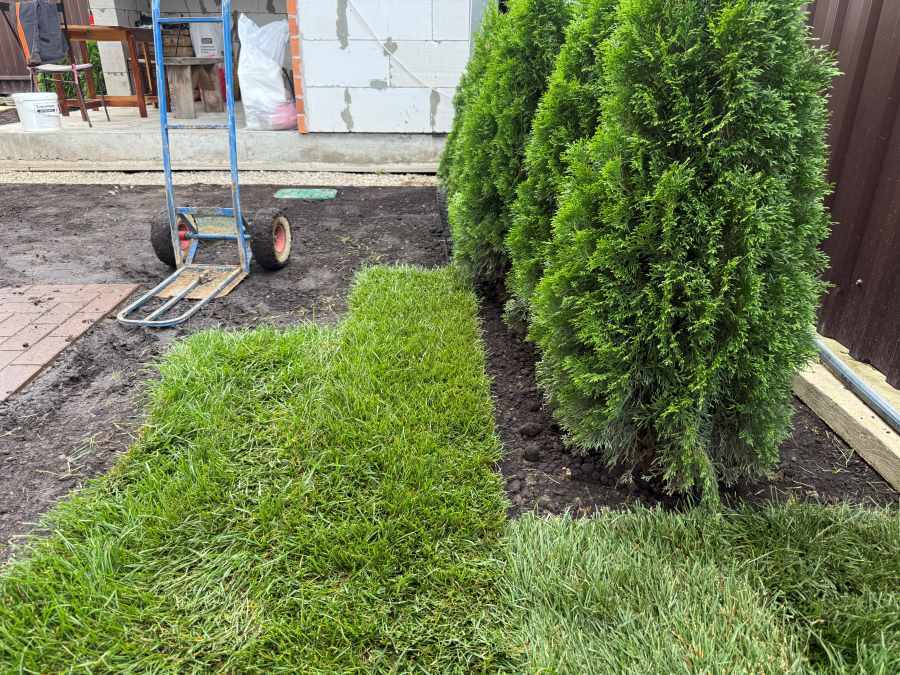 процесс укладки рулонного газона 