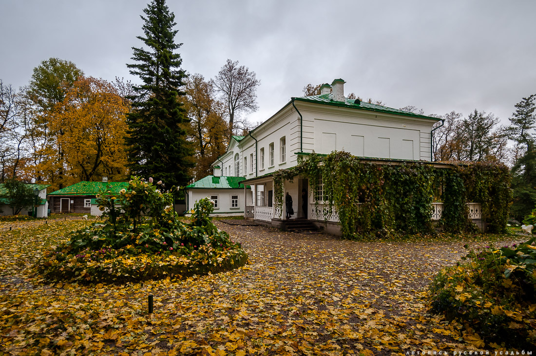 Усадебный экспресс. История рода Толстых - история России.