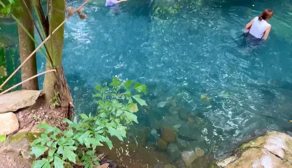 Каменистое дно под голубой водой