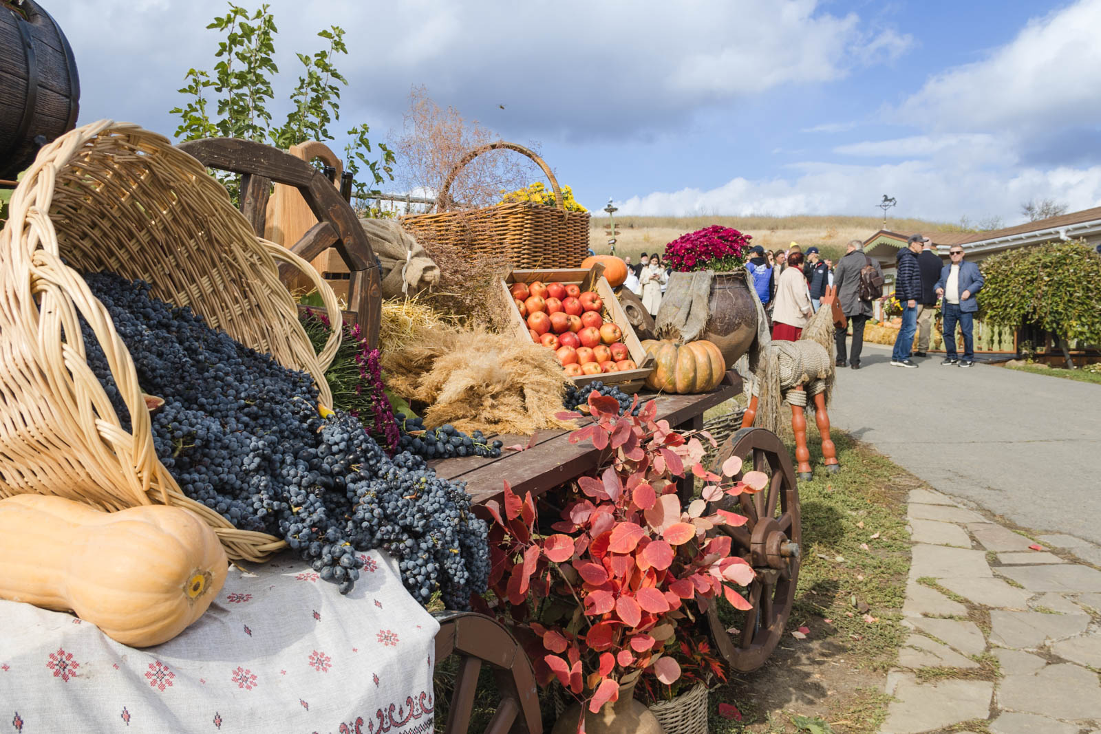 Экспедиция РГО «Золотые горки. Дорогами донских автохтонов»