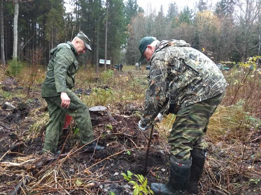 Лесничества калининградской области. Славское лесничество калининград. Калининградское лесное хозяйство. Калининградское лесное хозяйство. Калининградское лесное хозяйство.