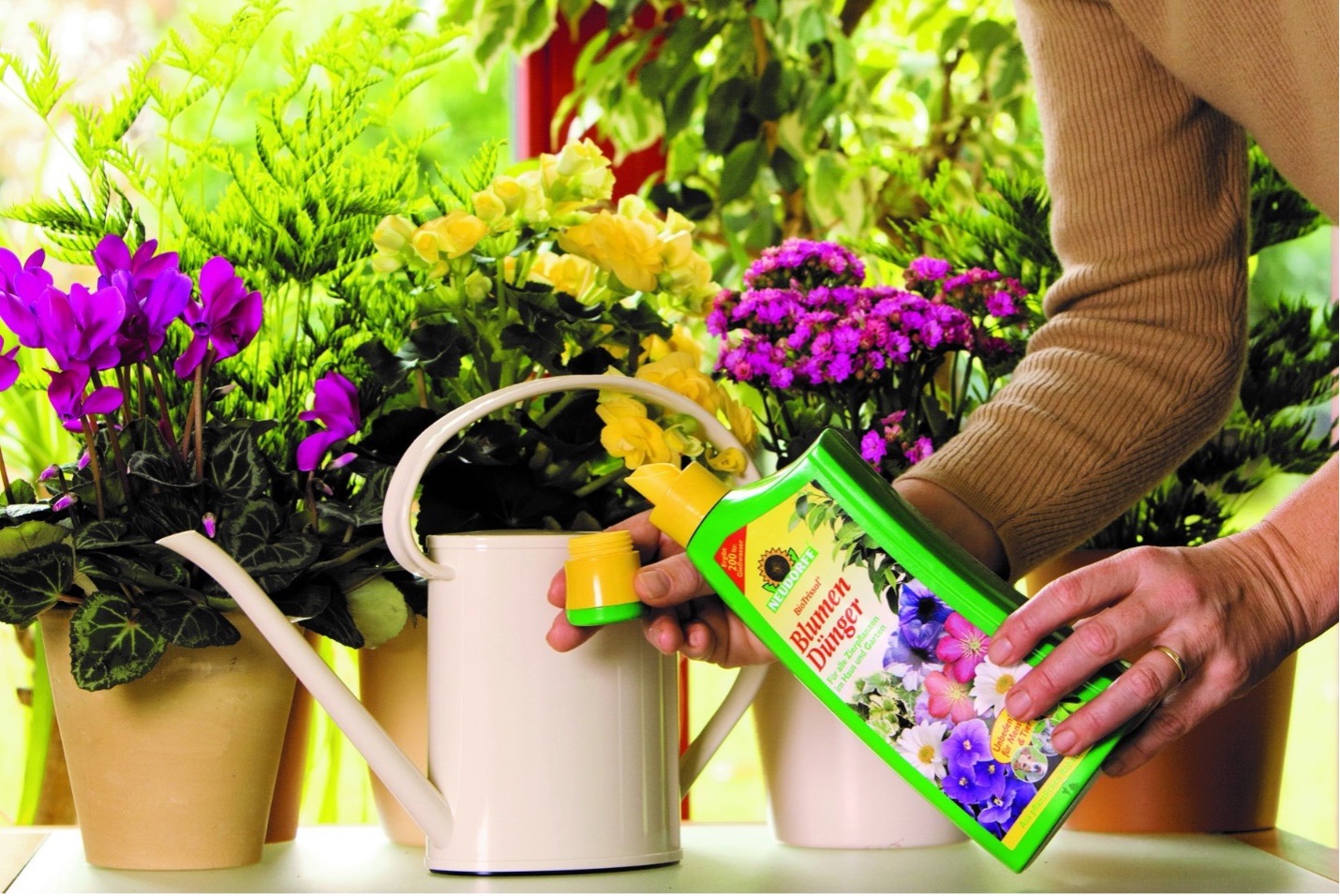 Удобрения для комнатных растений: правильное питание цветов