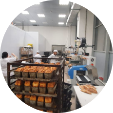 Advance Project - создаем технологические проекты предприятий питания и пищевых производств