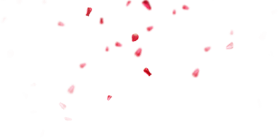 вторые частички для торта