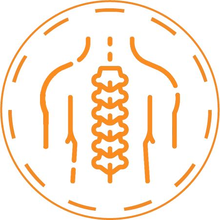 Ортопедическое Сиденье тренажер Толстунова "Спина Ок" купить