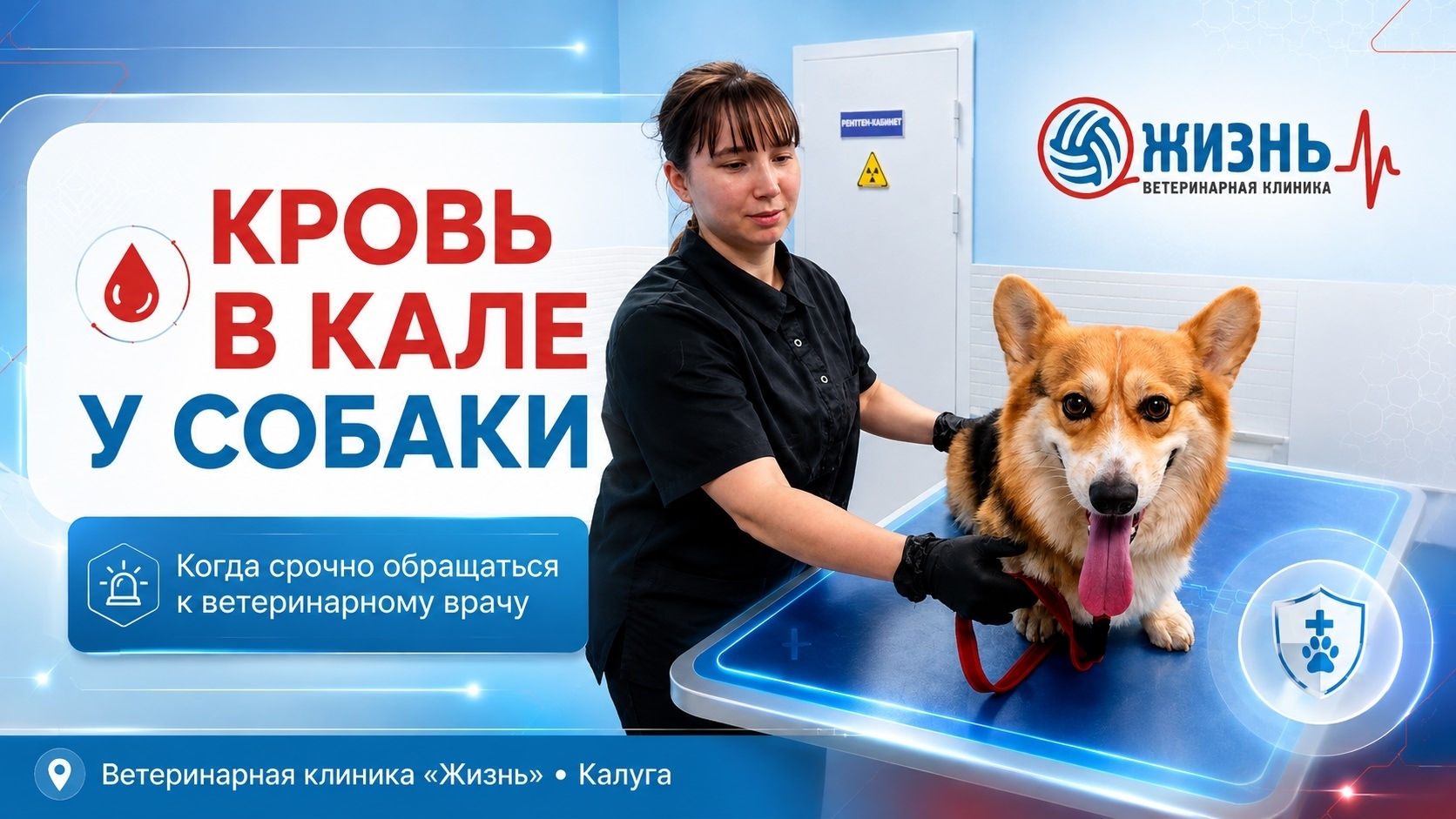 Ветеринарный гастроэнтеролог в Калуге.