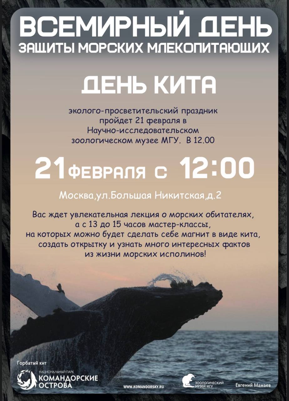 <br />21 февраля 12:00 - 15:00<br />День кита<br /><br /><strong style="font-family: var(--t-text-font,Arial); font-size: 20px;">12:00 Лекция </strong><br /><span style="font-family: var(--t-text-font,Arial); font-weight: 400; font-size: 20px;">Михаил Вакуров «Морские млекопитающие национального парка «Командорские острова»</span><br /><span style="font-family: var(--t-text-font,Arial); font-weight: 400; font-size: 20px;">Вас ждет увлекательная лекция о морских млекопитающих, на которой вы узнаете о зубатых и усатых, настоящих и ушастых, </span><br /><span style="font-family: var(--t-text-font,Arial); font-weight: 400; font-size: 20px;">сможете потрогать настоящие китовые усы</span><br /><span style="font-family: var(--t-text-font,Arial); font-weight: 400; font-size: 20px;">и зуб кашалота, шкурки тюленей и калана</span><br /><br /><strong style="font-family: var(--t-text-font,Arial); font-size: 20px;">с 13:00 до 15:00 мастер-классы</strong><br /><span style="font-family: var(--t-text-font,Arial); font-weight: 400; font-size: 20px;">Приглашаем всех желающих на интересные мастер-классы: мы будем делать магниты в виде китообразных, создавать открытки в виде морских обитателей. Ждем вас на познавательном празднике!</span><br /><span style="font-family: var(--t-text-font,Arial); font-weight: 400; font-size: 20px;">Участие в мероприятии по входному билету</span><br /><br /><span style="font-family: var(--t-text-font,Arial); font-size: 20px;">Участие в мероприятии </span><br /><span style="font-family: var(--t-text-font,Arial); font-size: 20px;">по входному билету в музей</span>