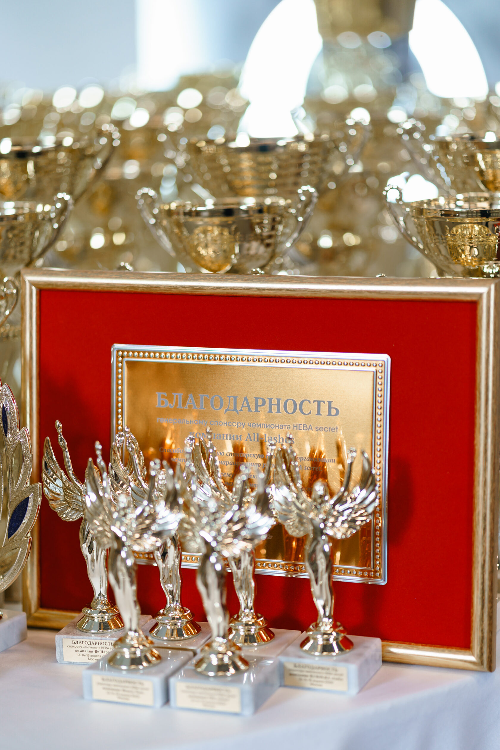 Кубки чемпионов