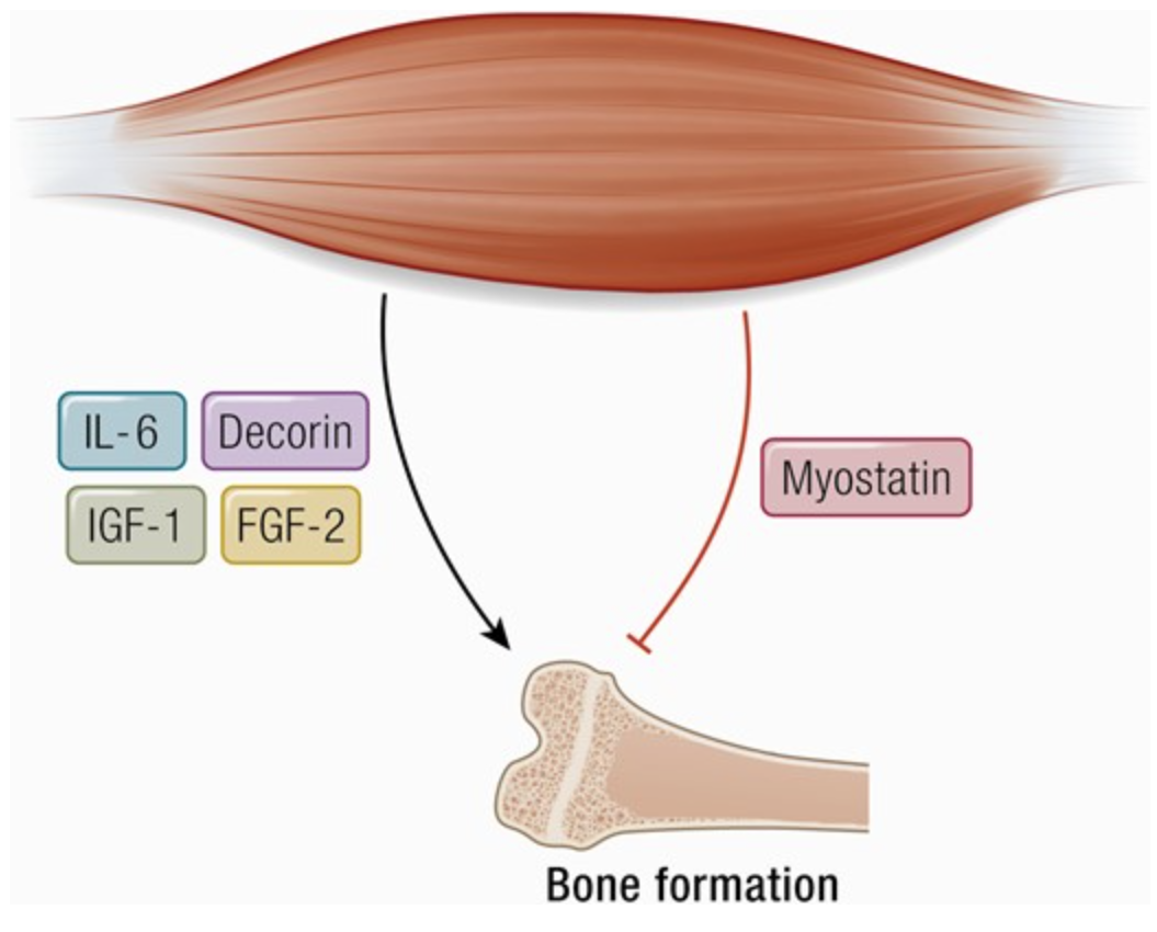 Ein Bild, das Text, Screenshot, Kunst enthält.
KI-generierte Inhalte können fehlerhaft sein.