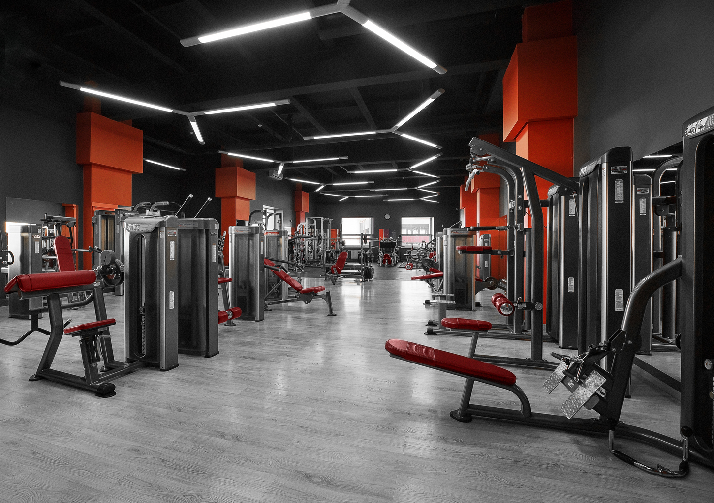 Giant fitness blackwood