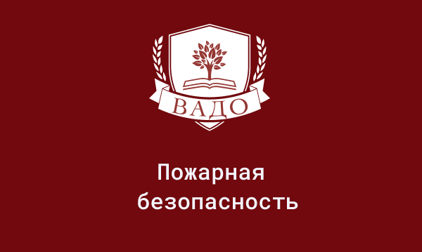 Обучение на директора по безопасности
