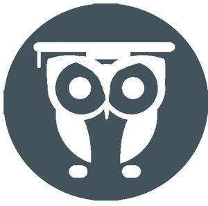 website icon