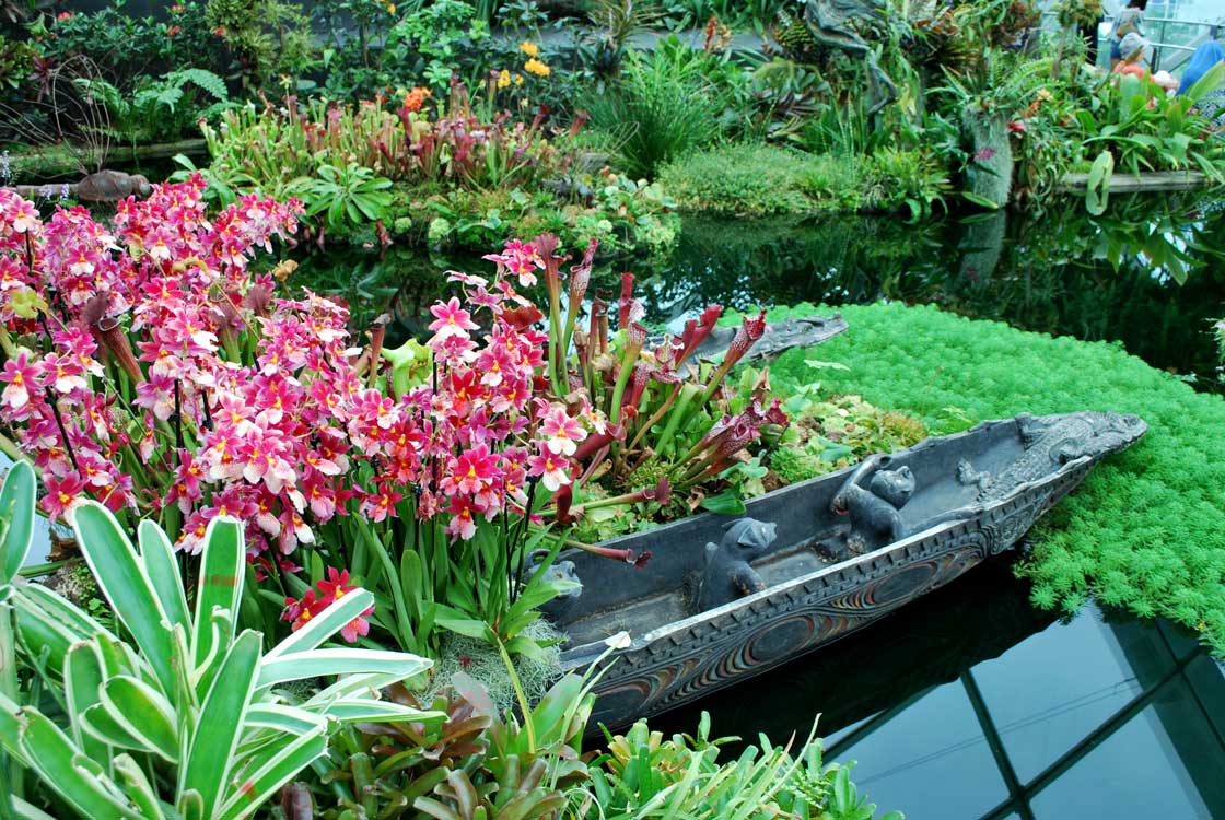 сады у залива Марина Бей в Сингапуре оранжерея Дождевой облачный лес