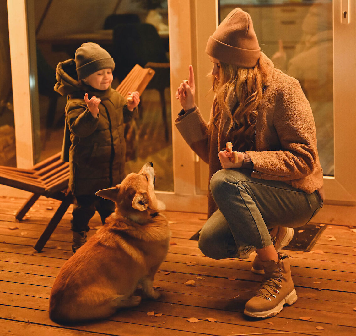 Отдых с животными на природе с детьми в Подмосковье