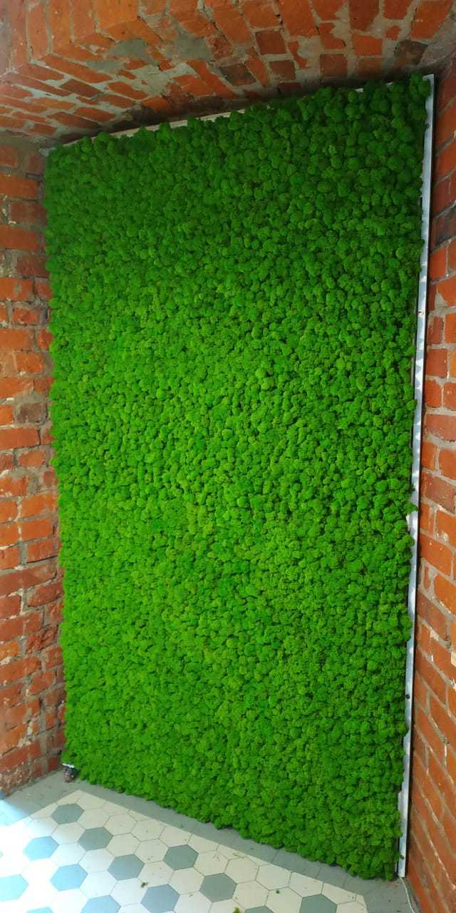 Фитостена из мха в квартире от Nature Walls