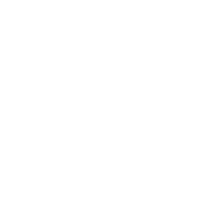 Портретная экспертиза