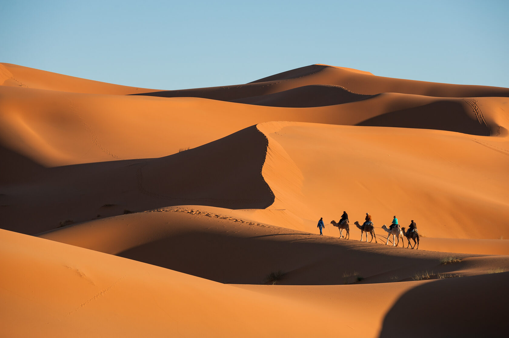 Караван полей. Караван Верблюды Барханы. Дюны Барханы Караван. Египет пустыня сахара. Марокко Барханы.