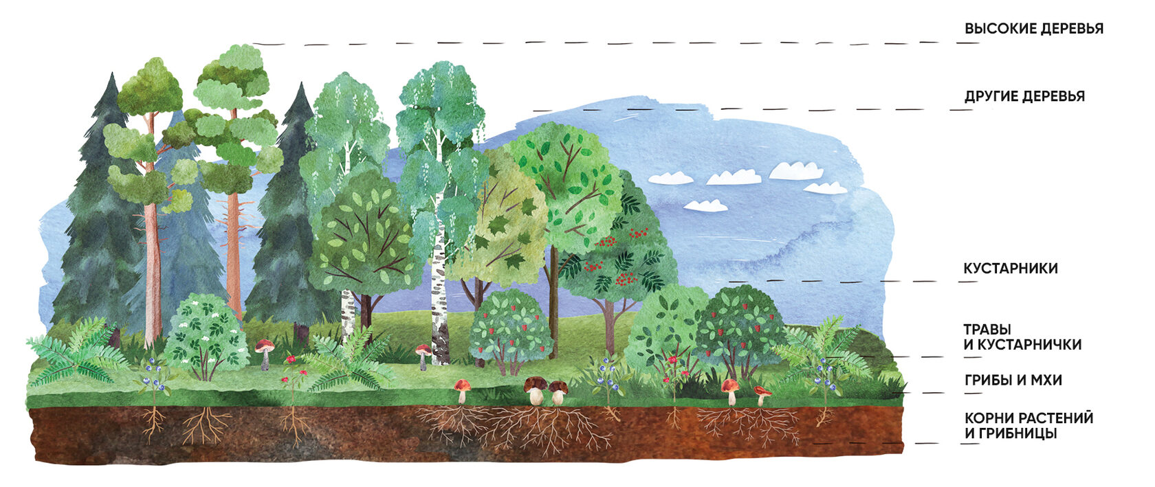 Лес-многоэтажный дом. А2. Николаева С.Н. купить оптом в Екатеринбурге от 97 руб.