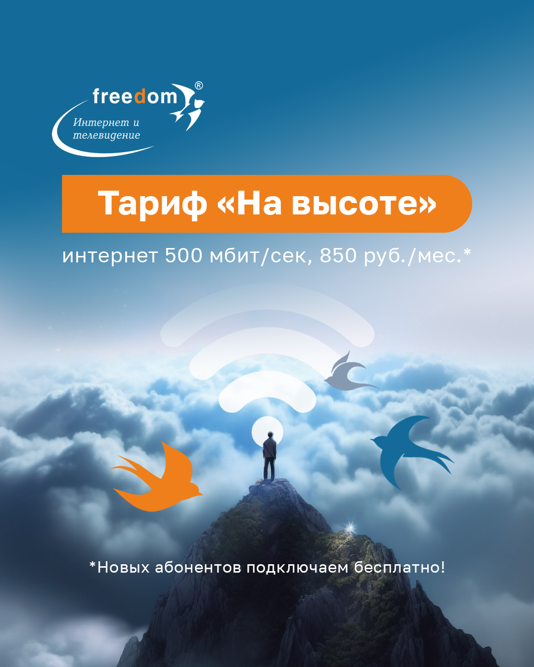 Freedom – материал проекта
