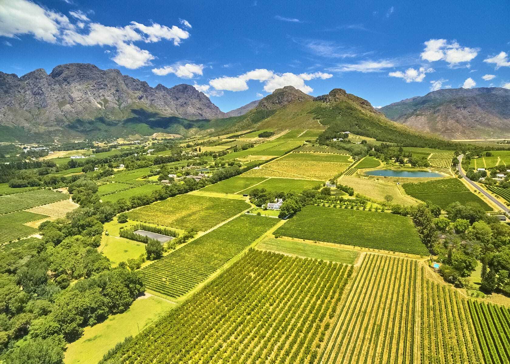 Wine Route South Africa