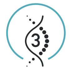 3Древа Жизни