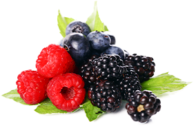 sesderma lactyferrin forte