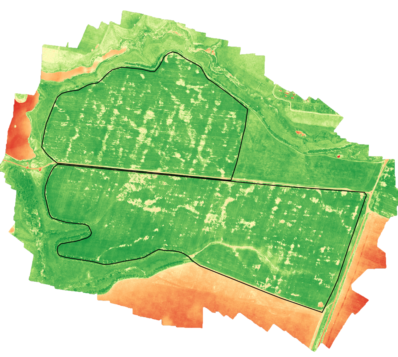 Ndvi