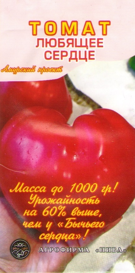 Описание сорта томатов любящее сердце. Томат сердце. Помидоры любящее сердце. Томат любящее сердце красное. Сорт томата любящее сердце.