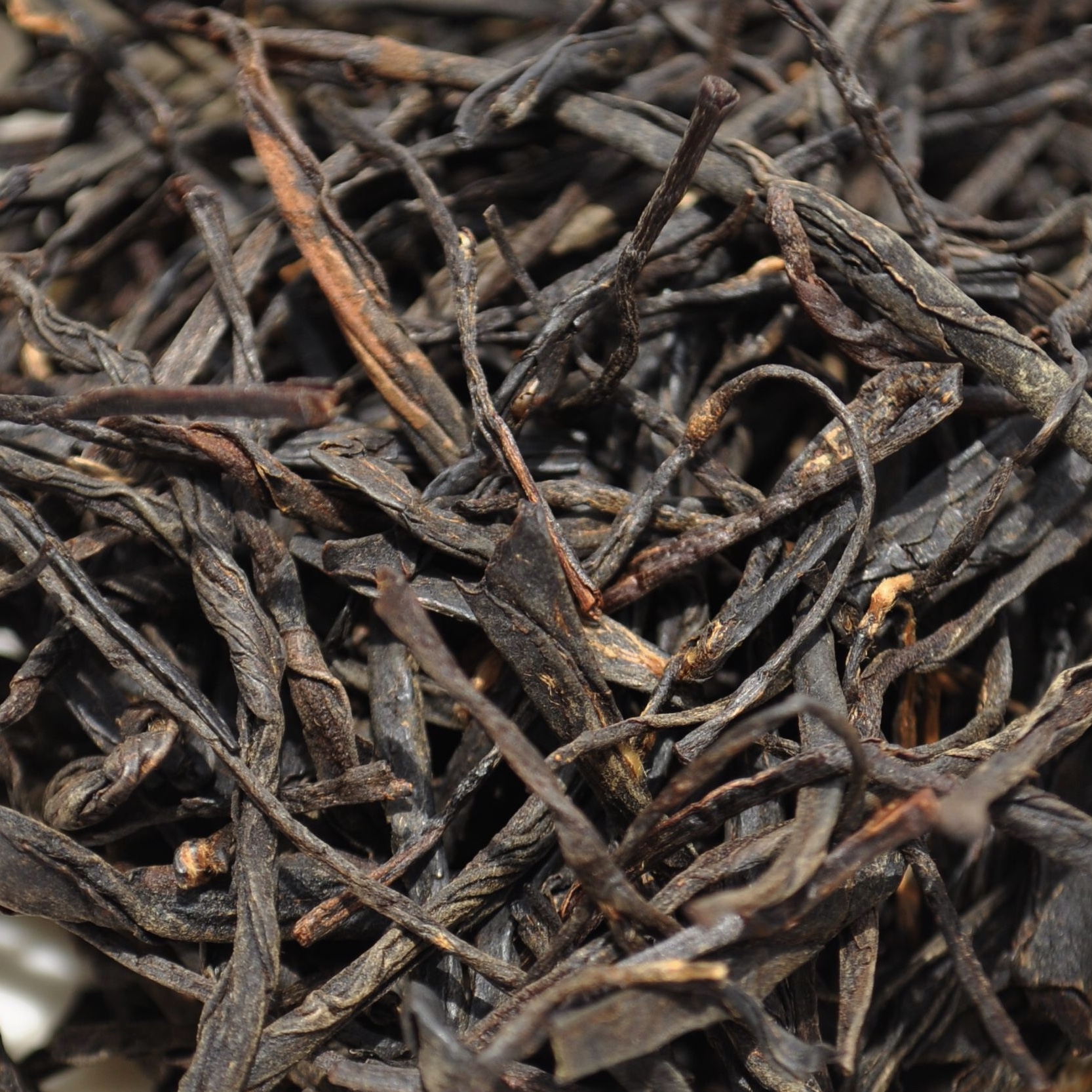 чай хун луо, 100 г. красный чай - дянь хун (красный чай с земли дянь). цзинь хао дянь хун золотая обезьяна. цзинь хао дянь хун чай. красный чай лапсанг сушонг.