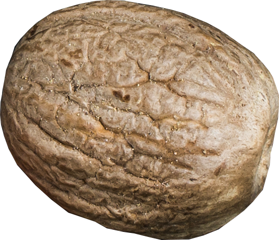 Программы питания