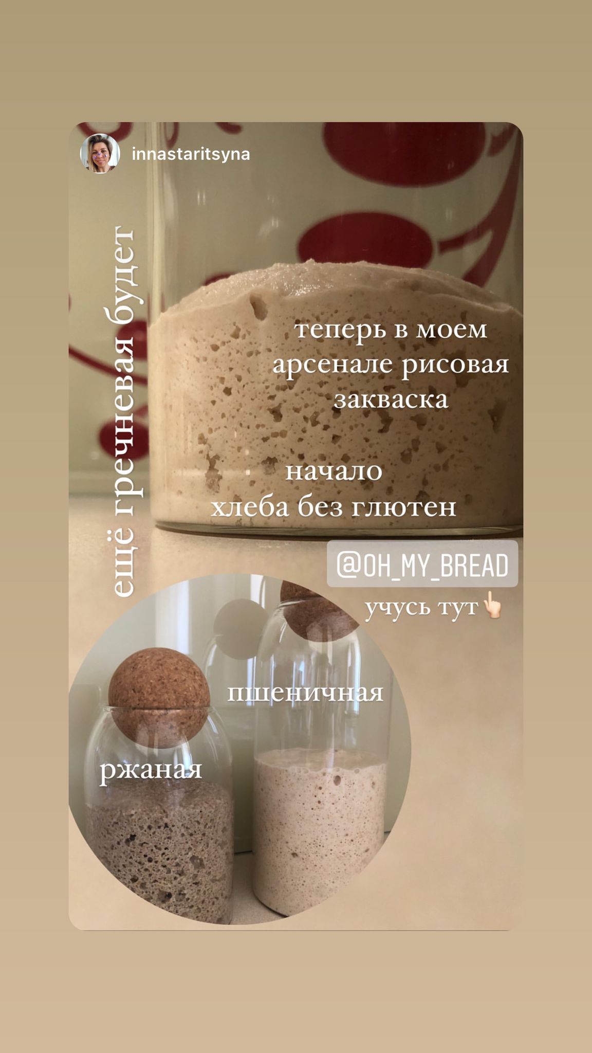 Курс «Безглютеновый хлеб Oh my Bread»