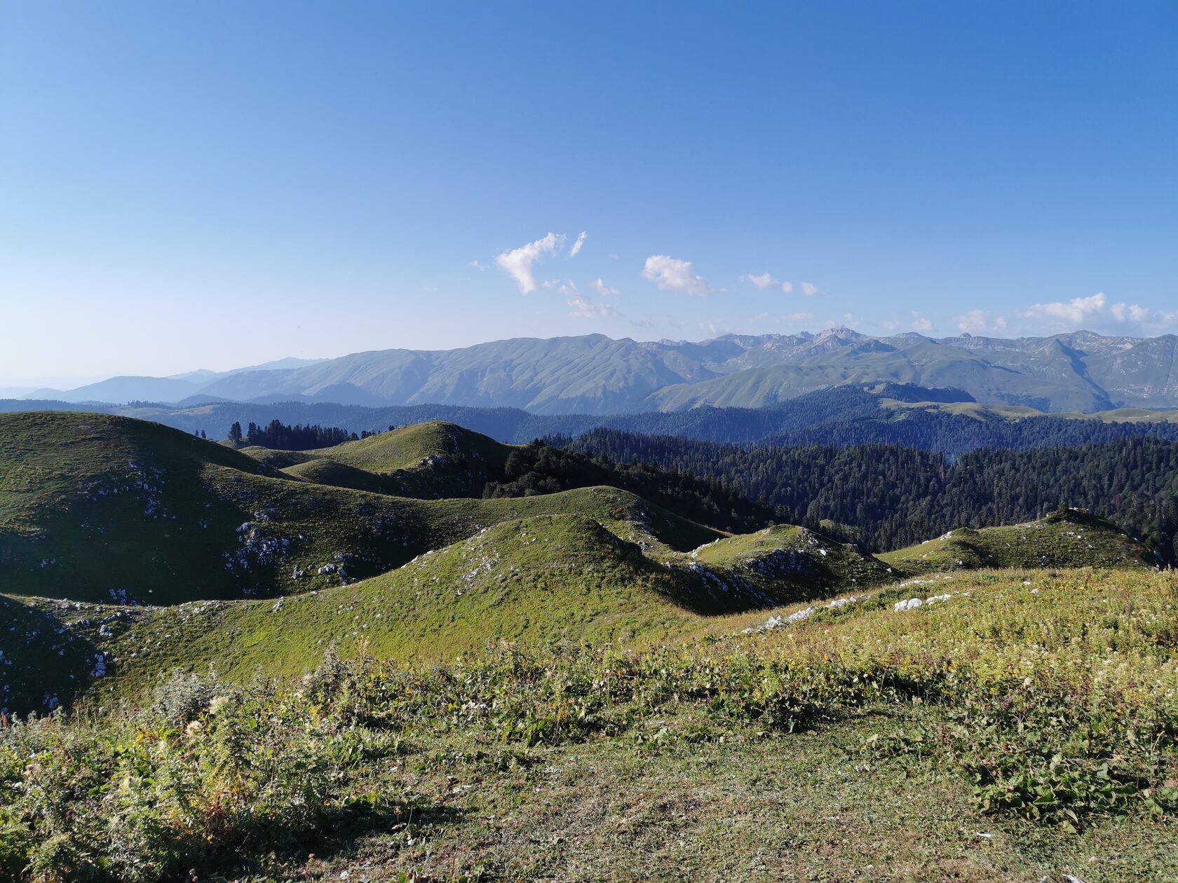 виды на море Мамдзышха