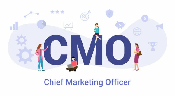 поиск директора по маркетингу cmo