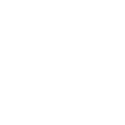 Портретная экспертиза