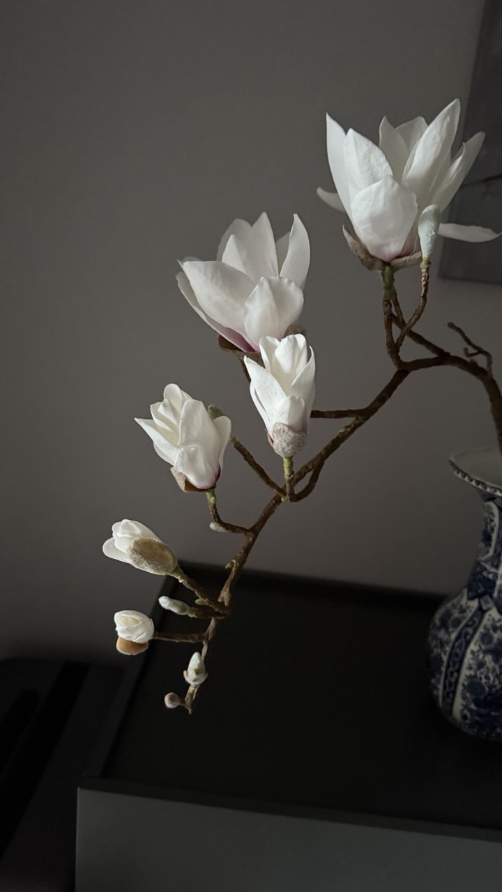 Букет магнолии ручной работы; подарок на восьмое марта