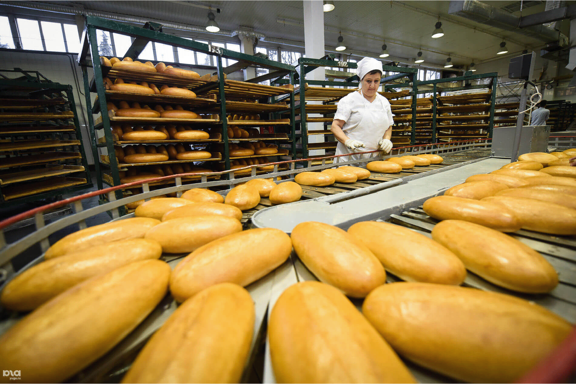 Московская пищевая промышленность. Пищевая промышленность. Пищевая промышленность хлебопекарня. Хлебобулочное предприятие. Хлебобулочный цех.