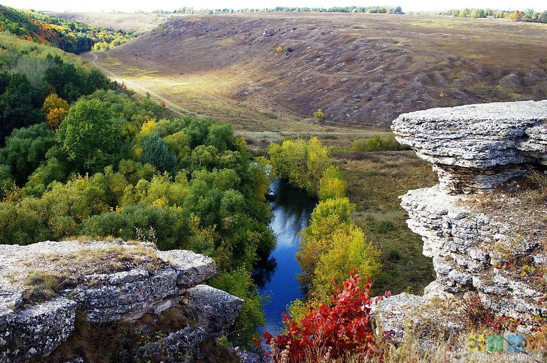 Заповедник галичья гора морозова гора фото