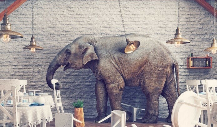 How to avoid being an elephant in a china shop in the management of construction projects