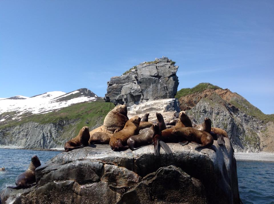 Туры на камчатку фото