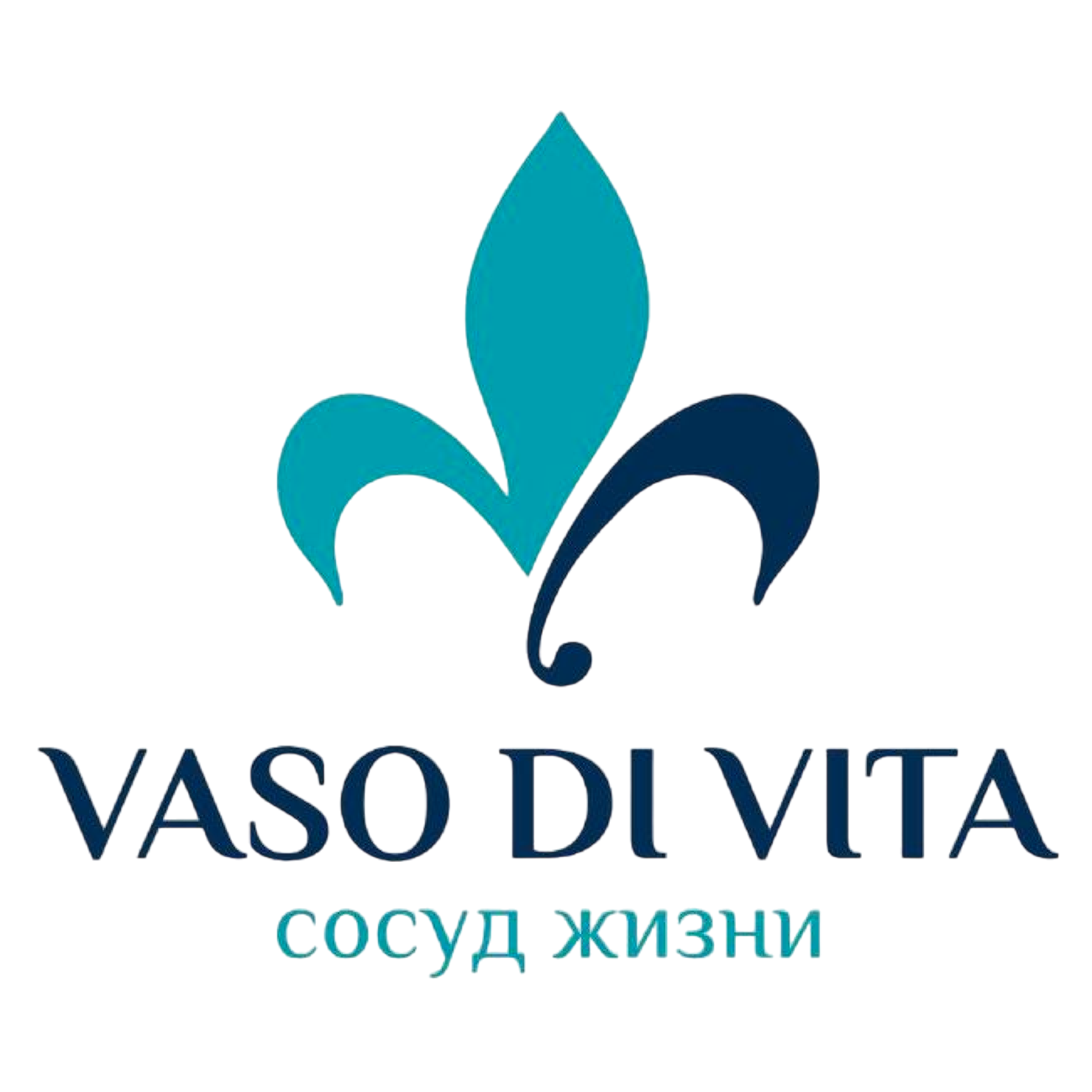 VASO DI VITA