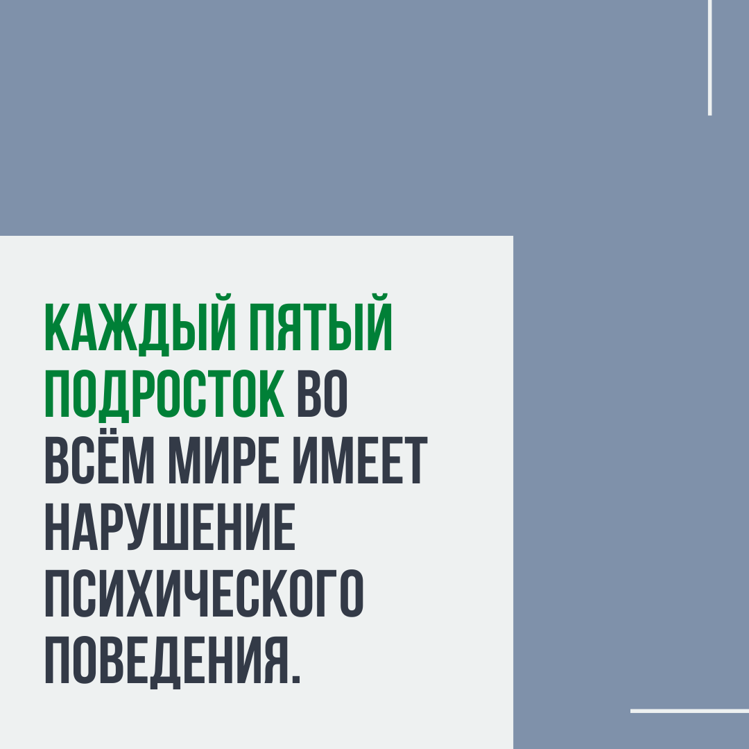 Как поддержать организм во время сдачи экзаменов