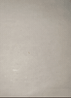 CrocoRing animation