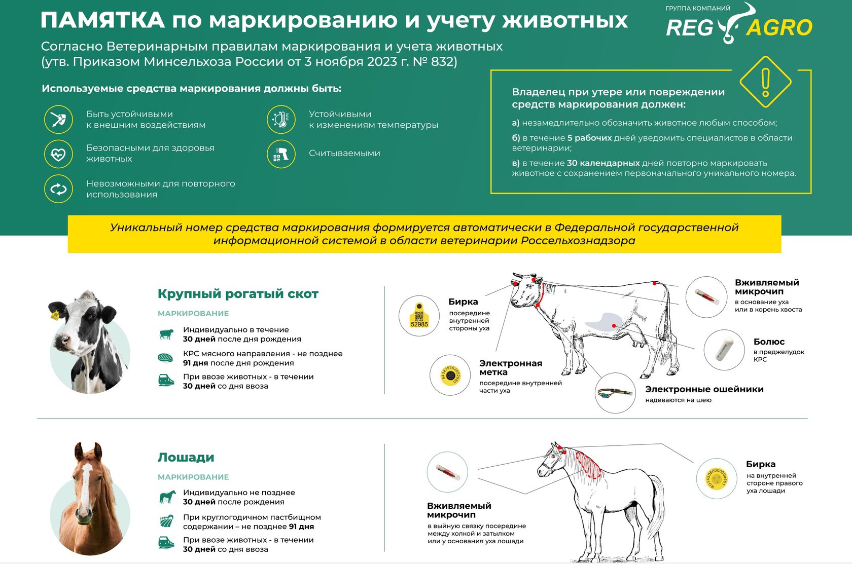 Ветеринарная клиника