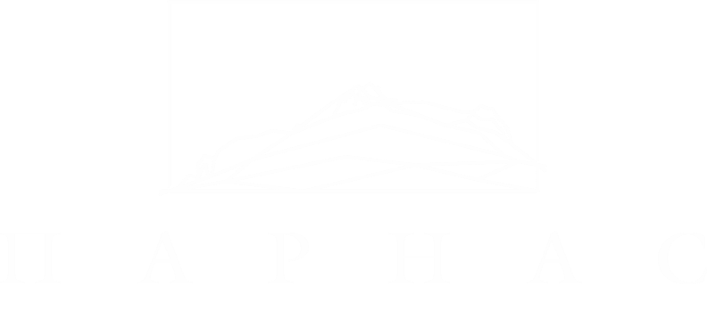 Company
