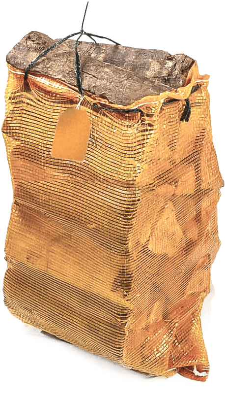 Ольха в сетке В РИГЕ