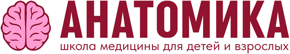 Анатомика