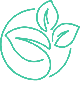 Растительный мир