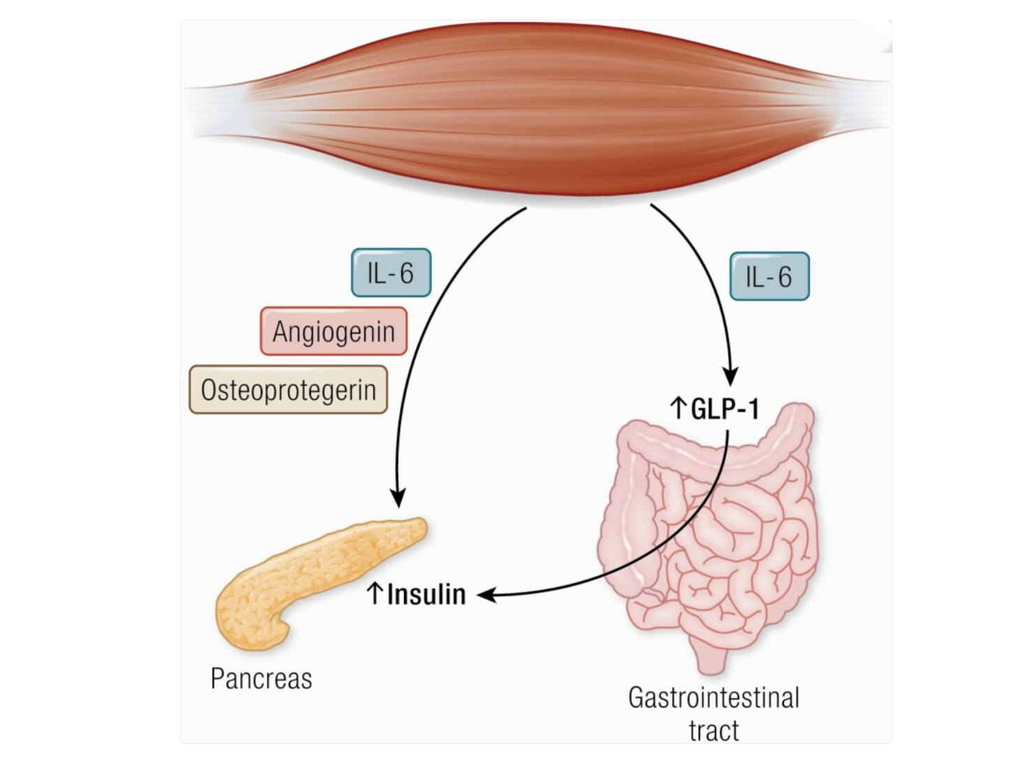 Ein Bild, das Text enthält.
KI-generierte Inhalte können fehlerhaft sein.
